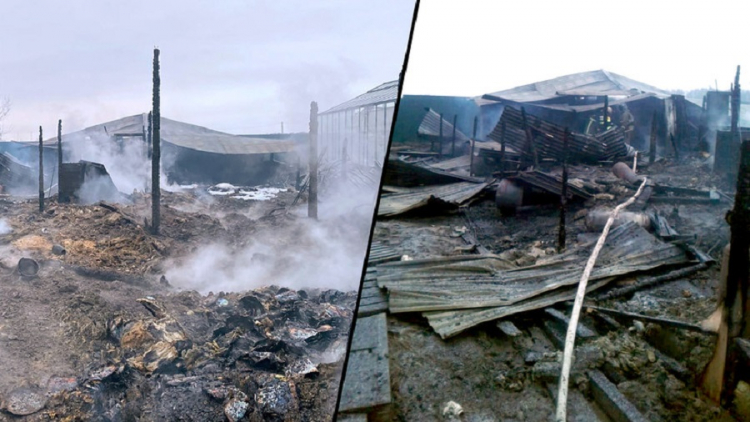 Пожар на объекте азербайджанского бизнесмена: обнаружены тела восьми человек - ФОТО