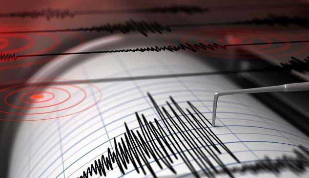 В Иране произошло землетрясение
