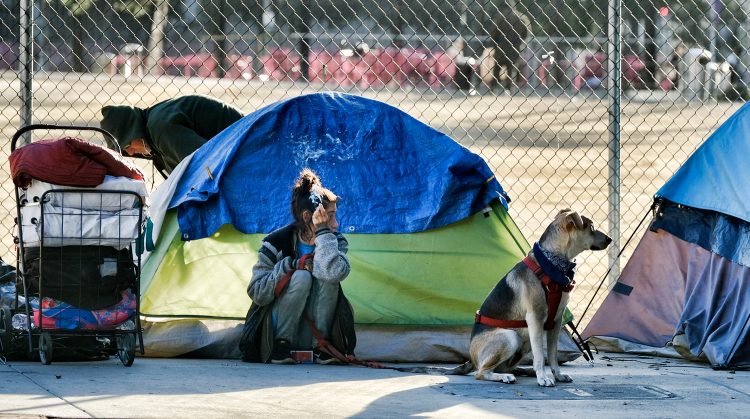 Жители Сан-Франциско начали нанимать частных патрульных для борьбы с бездомными
