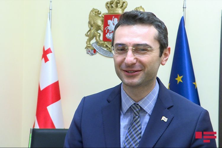 Вице-спикер парламента Грузии: "Мы рядом с азербайджанским народом, с которым разделяем наши ценности и историю" - ИНТЕРВЬЮ