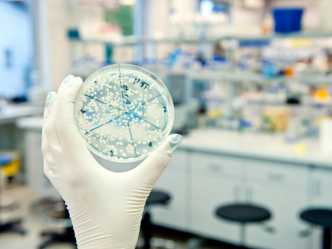 ВОЗ предупредила о возможности распространения нового коронавируса за пределами Китая