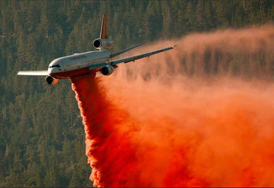 В Австралии разбился самолет, тушивший лесные пожары
