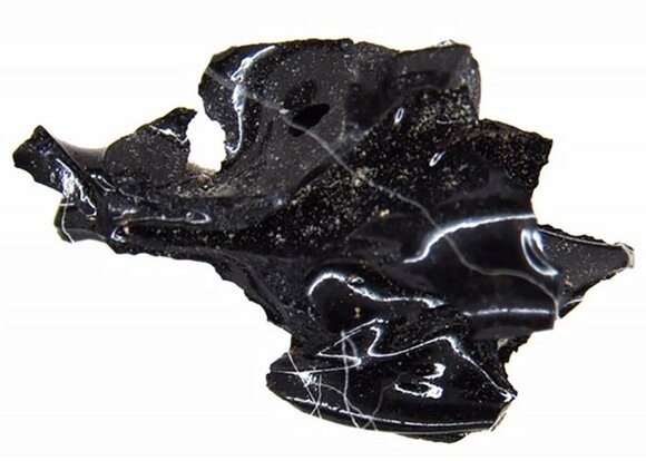У жертвы извержения Везувия нашли превращенный в стекло мозг