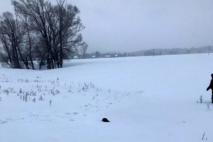 В России двоих школьников насмерть засыпало снегом