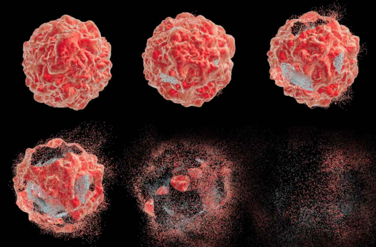 Ученые выявили молекулу, нацеленную на уничтожение коронавирусов

