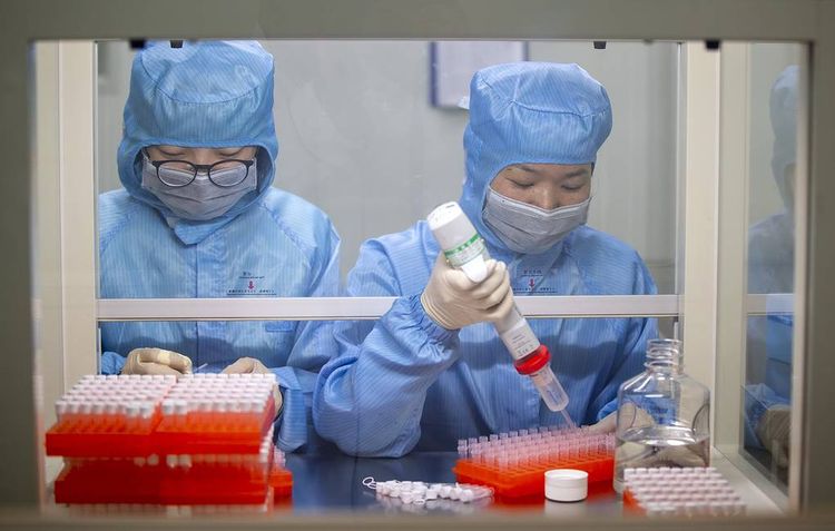 Китай передал России геном коронавируса
