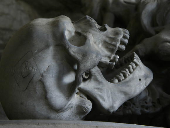 Возле храма под Петербургом нашли скелет связанного человека
