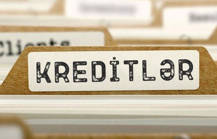 Стали известны некоторые детали законопроекта «Об образовательных кредитах»