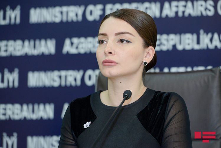 Лейла Абдуллаева: Подобные шаги руководства Армении служат усилению оккупации 