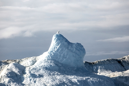 Ученый рассказал о таящихся в ледниках древних вирусах
