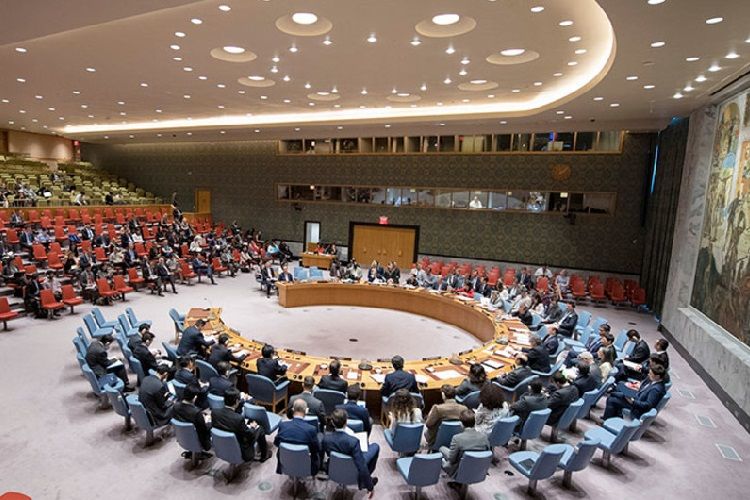 Россия и Китай наложили вето на проект резолюции СБ ООН о доставке помощи в Сирию через территорию Турции
