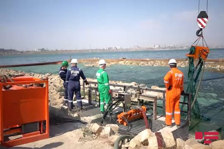 МЧС Азербайджана начало очистительные работы на озере Беюк Шор - ВИДЕО