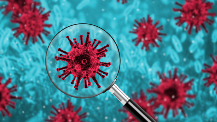 Ученые обнаружили влияние коронавируса на головной мозг
