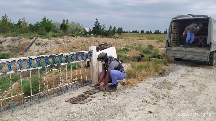 В Азербайджане под мостом обнаружены снаряды от зенитных орудий - ФОТО

