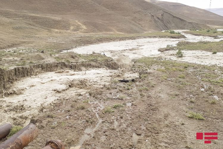 В Шамахы сель затопил озеро, погибло 15 тонн рыбы - ФОТО