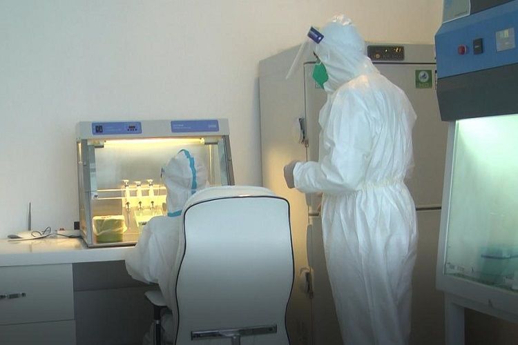 В Турции за сутки 931 человек заболел COVID-19
