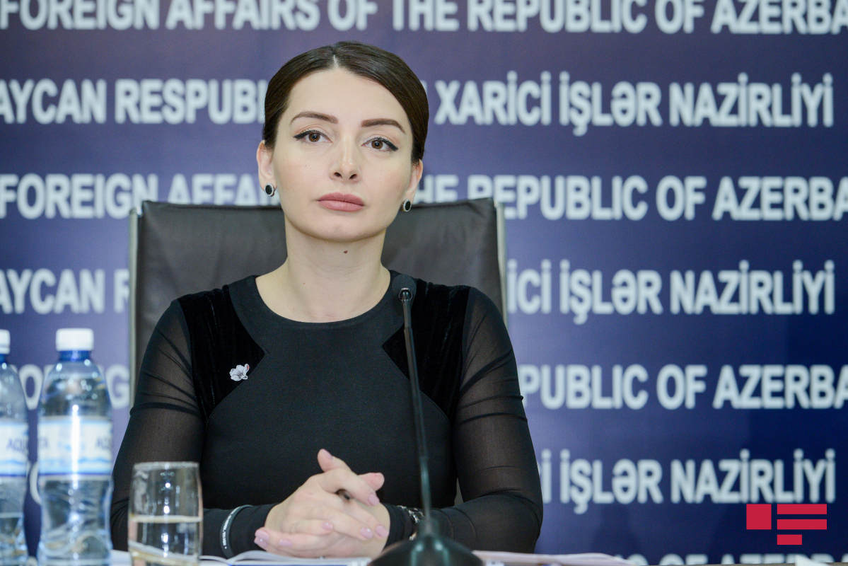 "Заявления Пашиняна являются очередным ударом по переговорному процессу" - МИД Азербайджана
