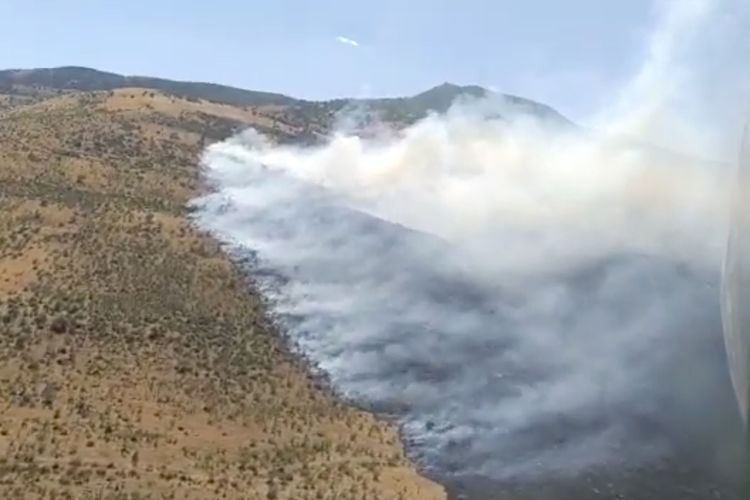 Лесной пожар в Азербайджане потушен