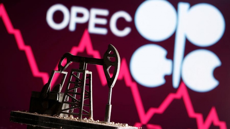 ОПЕК представила свои оценки рынка нефти
