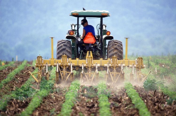 В Азербайджане фермерам выделено более 200 млн. манатов
