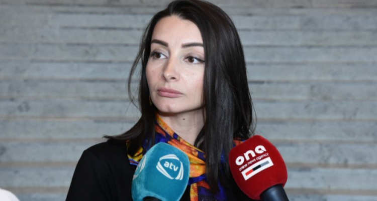 Очернительную кампанию против МИД Азербайджана будет расследовать Служба госбезопасности - ЗАЯВЛЕНИЕ