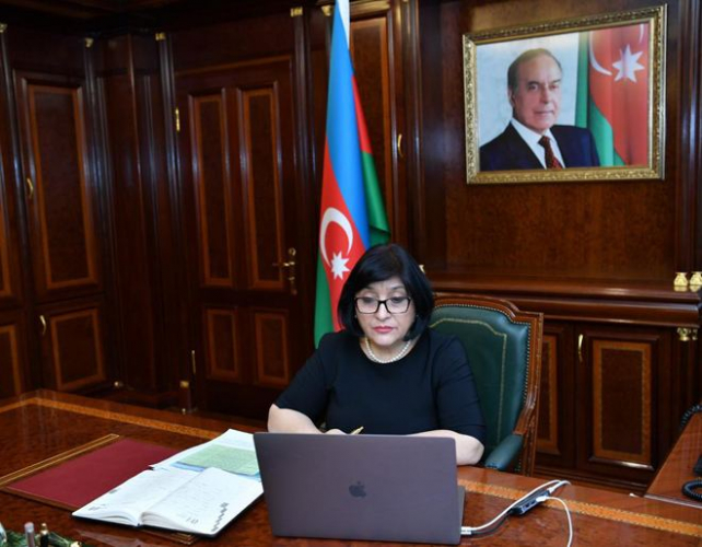 Спикер ММ провела онлайн-встречу с международными парламентариями