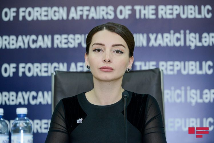 Лейла Абдуллаева прокомментировала совместное заявление членов Европарламента
