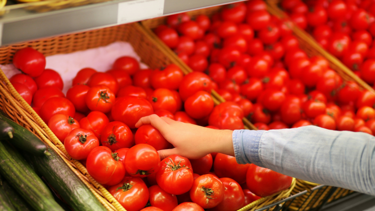 Азербайджан увеличил экспорт помидоров
