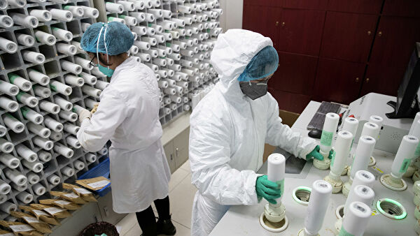 В Азербайджане до сегодняшнего дня проведено 432 858 тестов на коронавирус
