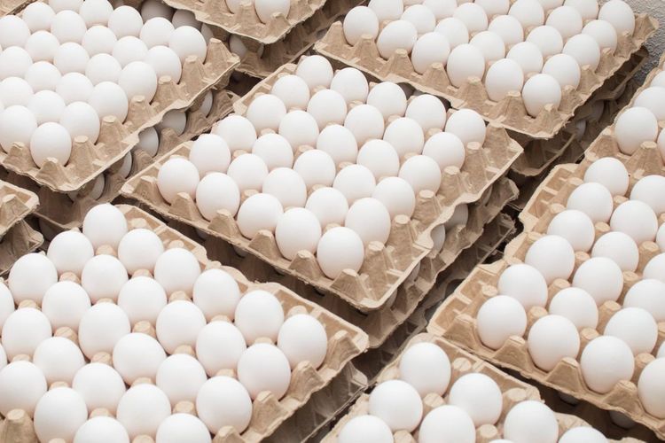 Грузия резко увеличила экспорт яиц в Азербайджан
