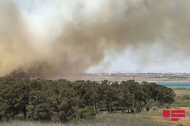 Пожар на территории Джейранбатанского водохранилища потушен - ОБНОВЛЕНО