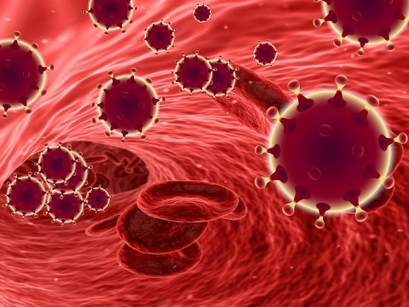 Французские ученые выявили новую "жертву" коронавируса