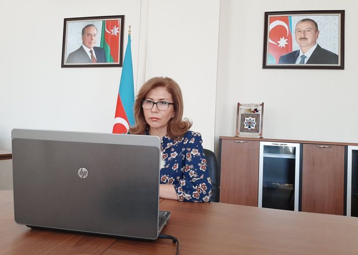 Председатель комитета: "Пандемия повлияла на рост случаев бытового насилия в Азербайджане"
