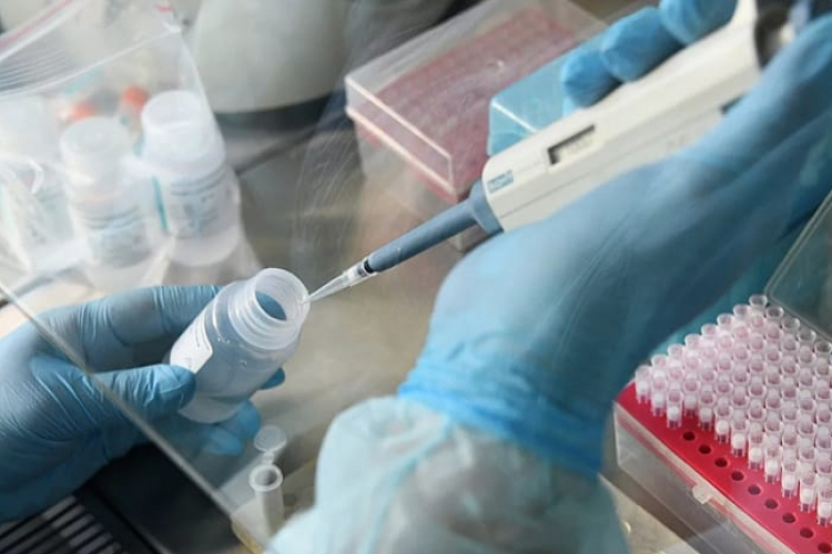 В России выявили более 100 штаммов нового коронавируса

