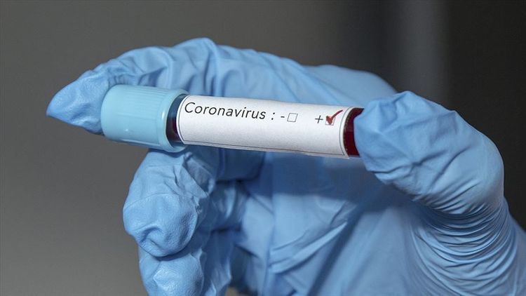 Инфекционист: Вирусы легко уничтожаются дезинфицирующими растворами