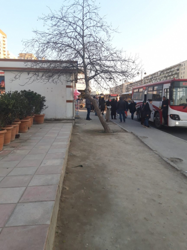 Куда подевались автобусные павильоны в Баку? - ЭТО ЛИШЬ МАЛАЯ ЧАСТЬ ВИДИМОГО АЙСБЕРГА -ВИДЕО