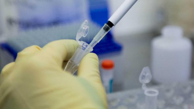 Германия рекомендуют отменить массовые мероприятия из-за коронавируса