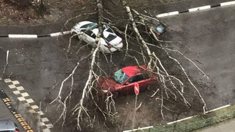 В Москве в результате урагана есть погибший и пострадавшие