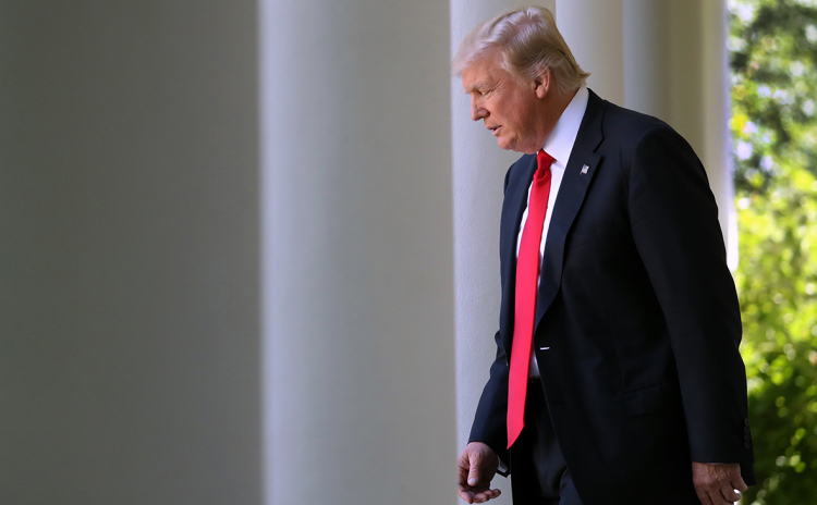 В США растет рейтинг деятельности Трампа 