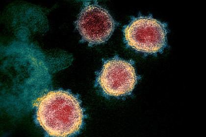 Ученые проанализировали 8 разновидностей коронавируса