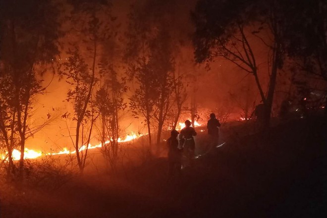 В Китае 19 человек погибли при тушении лесного пожара
