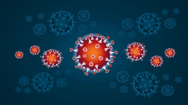 Всё, что мы хотели узнать о коронавирусе – НЕУДАЧНОЕ НАЗВАНИЕ И СХЕМА ЗАРАЖЕНИЯ

