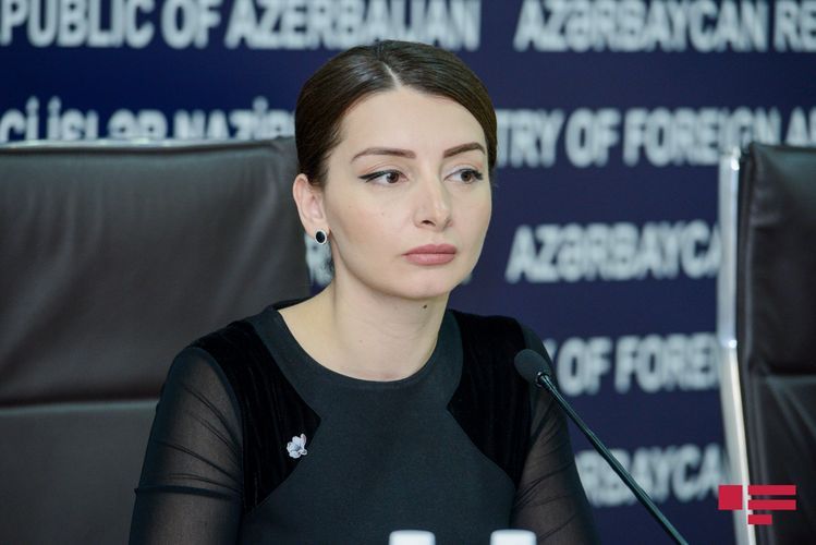 Пресс-секретарь МИД Азербайджана прокомментировала визит Пашиняна в Шушу
