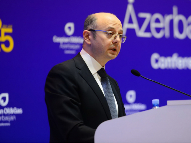 "Азербайджан мобилизовал все структуры для выполнения обязательств в рамках договоренности с ОПЕК+" - министр