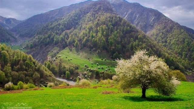 В Азербайджане национальные парки и заповедники могут возобновить свою деятельность с 31 мая
