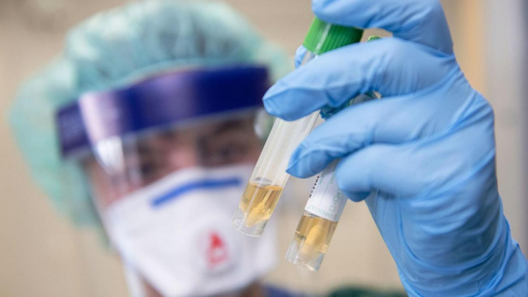 Россия предложила ВОЗ восемь вакцин от коронавируса
