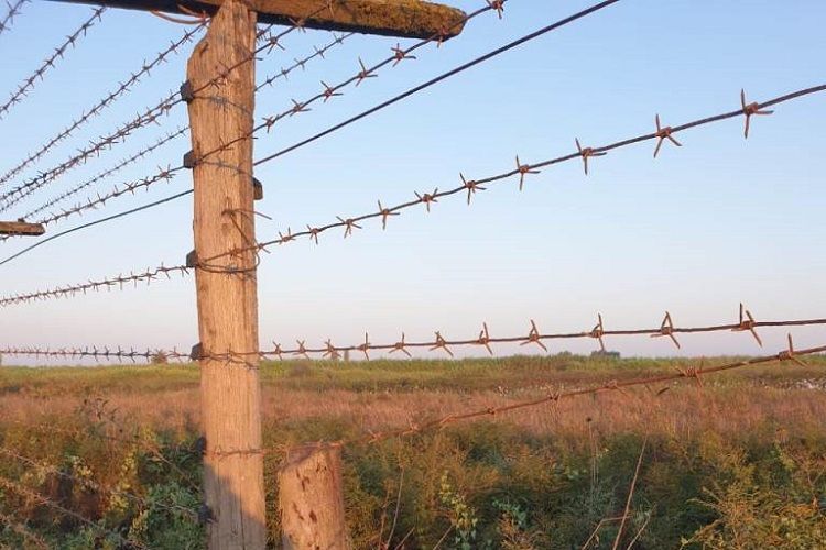 В Иране произошла перестрелка между членами вооруженной группы и пограничниками, есть погибшие