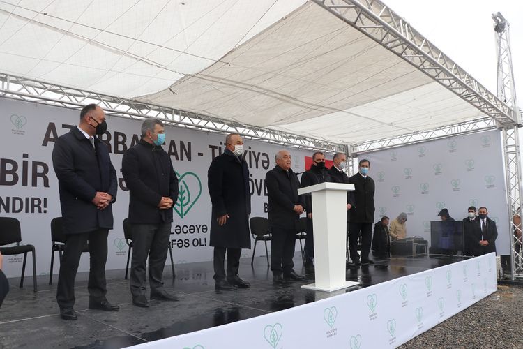 Азербайджан присоединился к масштабной акции Турции по посадке деревьев
