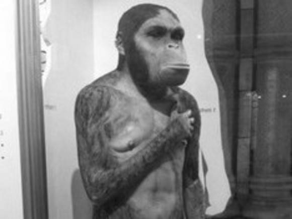 «Жевали глазные яблоки»: стали известны удивительные факты о неандертальцах