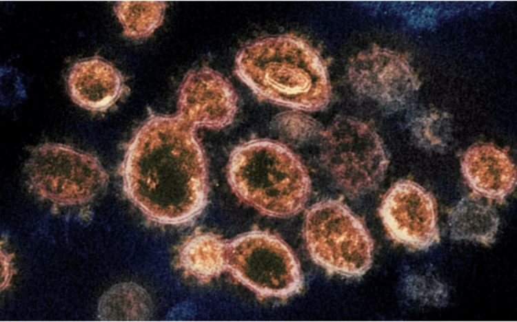 Стало известно об опасной мутации коронавируса